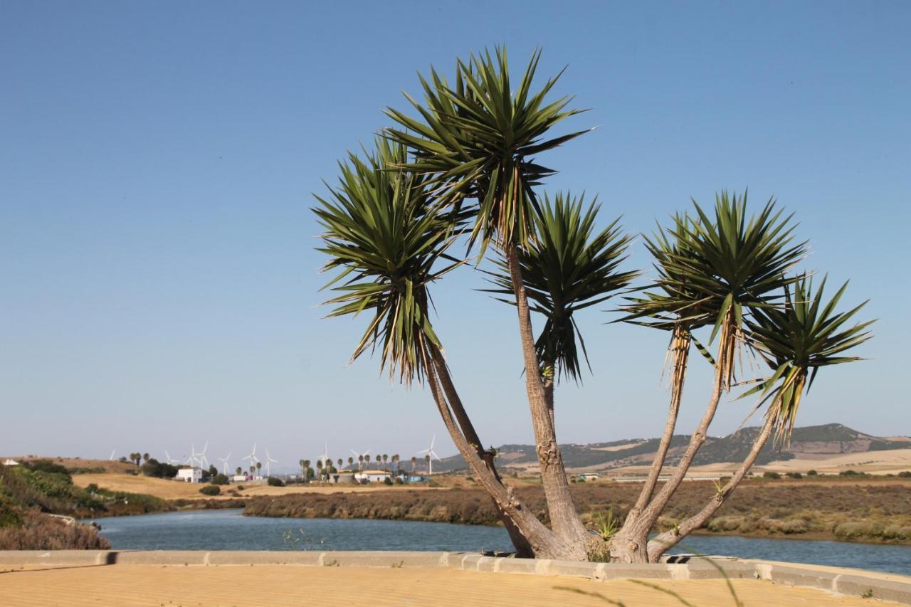 Apartamento Velarde Conil de la Frontera Kültér fotó